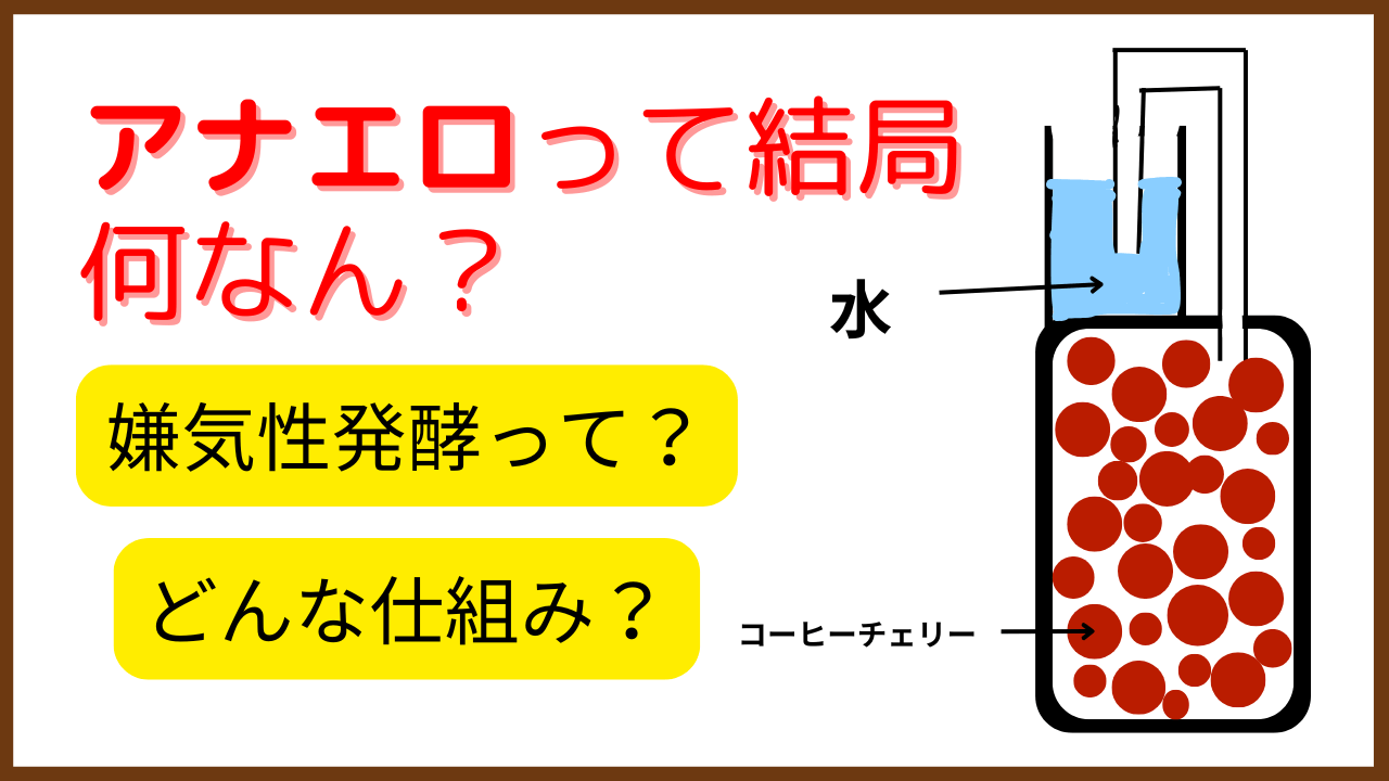 アナエロビック・ファーメンテーションとは？