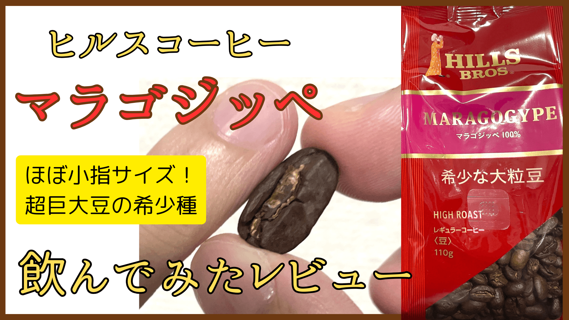ヒルスコーヒー マラゴジッペ 巨大希少種の豆を飲んでみたレビュー