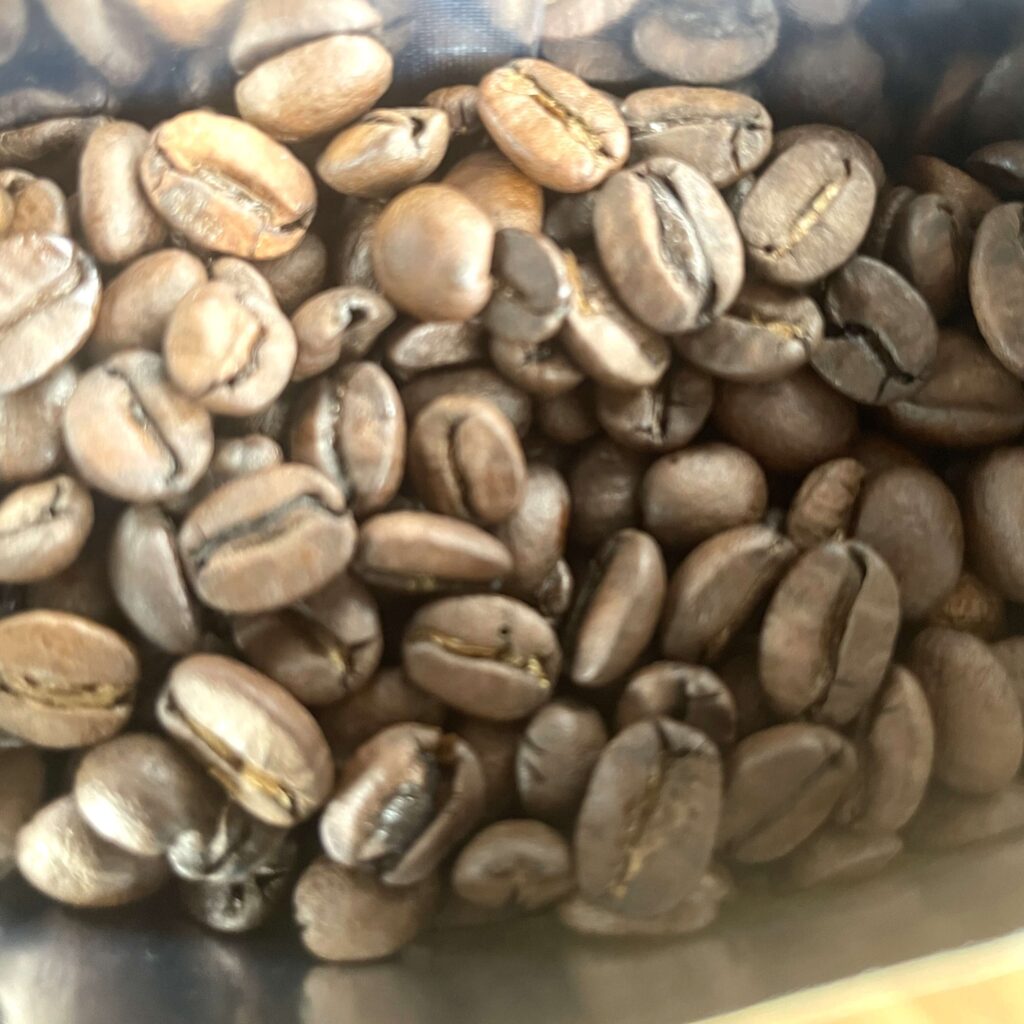 カツカイの豆