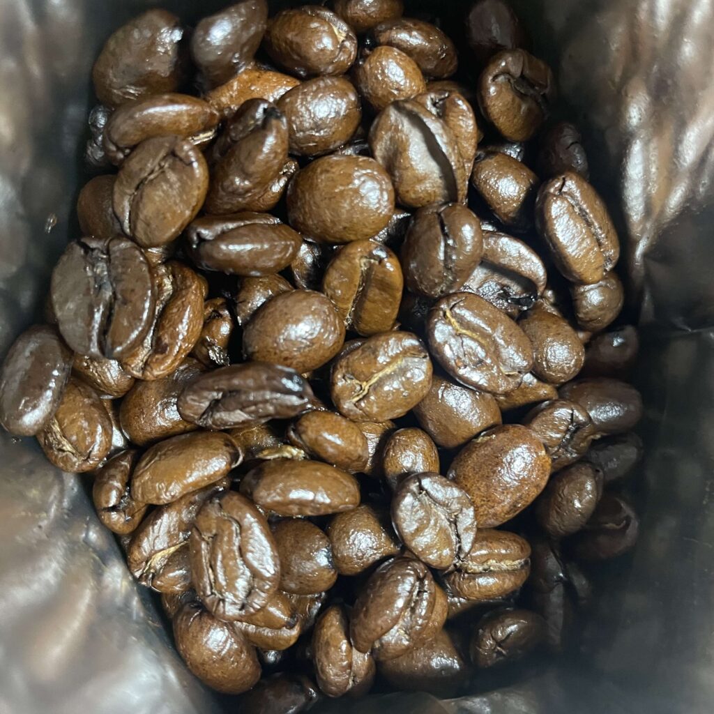 齋藤コーヒー フェアトレード メキシコの豆