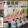 レア豆ずらり！京都の「ニシナ屋珈琲 世界一カモ！焙煎所」の探訪レビュー