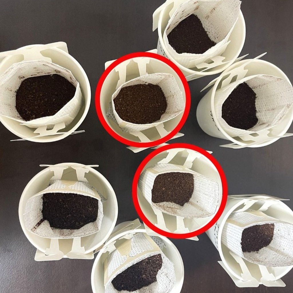 8種の粉の焙煎度の違い